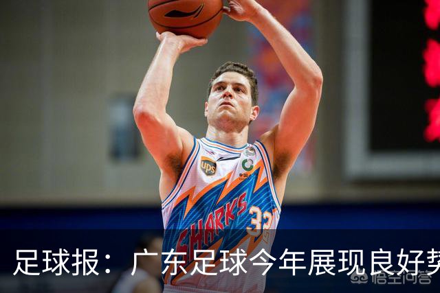足球报：广东足球今年展现良好势头，广州豹、深圳青年人全力冲超